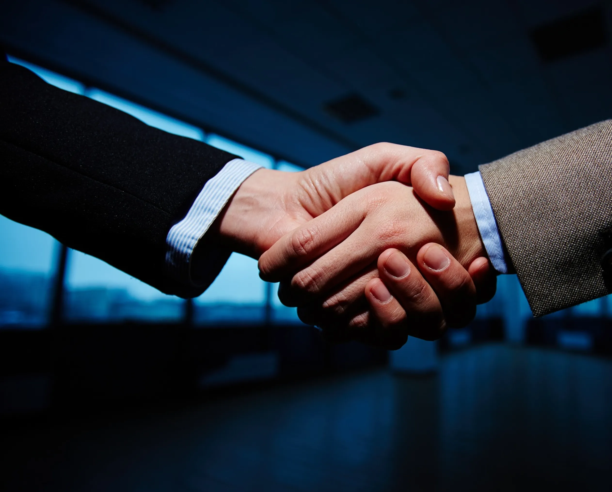 PeakEye | Partnerlermiz